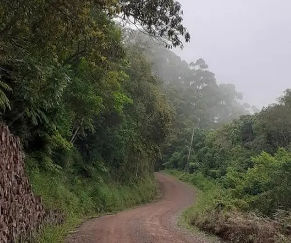 foto-galeria