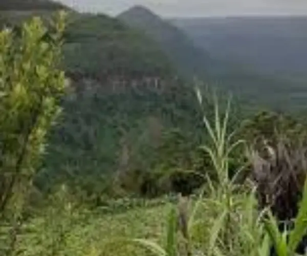 foto-galeria