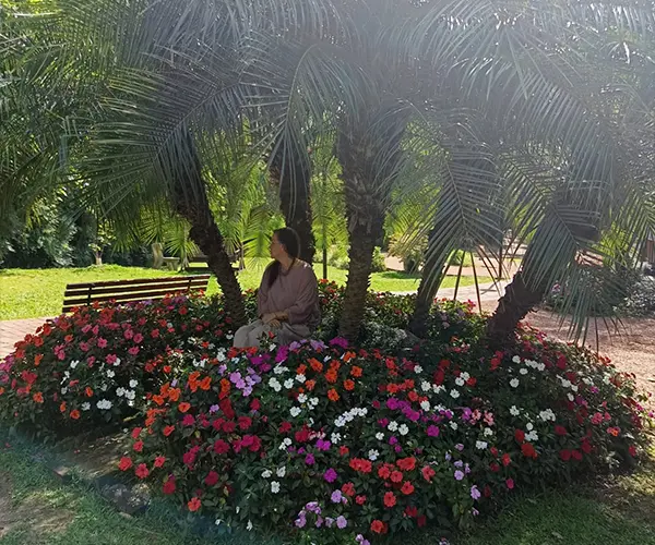 foto-galeria